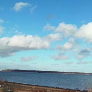 Meet your Posher, Adrienne